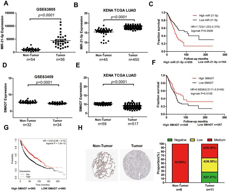 https://cdn.ncbi.nlm.nih.gov/pmc/blobs/3311/7695398/79f63d79cf2b/aging-12-104011-g006.jpg