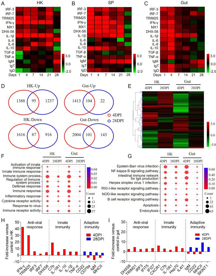https://cdn.ncbi.nlm.nih.gov/pmc/blobs/3315/12410970/6288a34ac64c/elife-104465-fig2.jpg