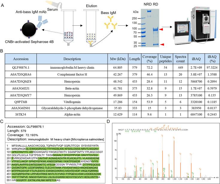 https://cdn.ncbi.nlm.nih.gov/pmc/blobs/3315/12410970/e5810d40542c/elife-104465-fig3-figsupp1.jpg