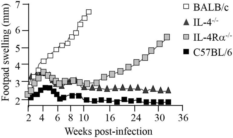 https://cdn.ncbi.nlm.nih.gov/pmc/blobs/3318/5686050/a62c9972faf8/fimmu-08-01354-g003.jpg