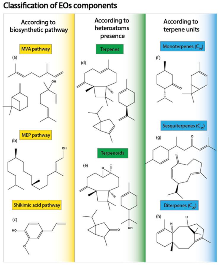 https://cdn.ncbi.nlm.nih.gov/pmc/blobs/3333/11767276/8f1a8fba8739/molecules-30-00284-g002.jpg