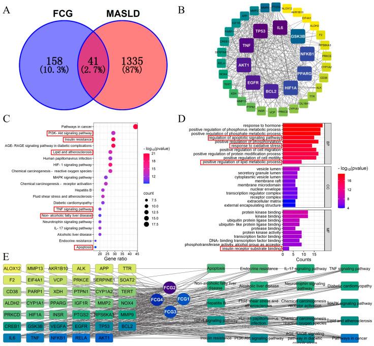 https://cdn.ncbi.nlm.nih.gov/pmc/blobs/3336/12348521/8fa9bff611f6/nutrients-17-02456-g002.jpg