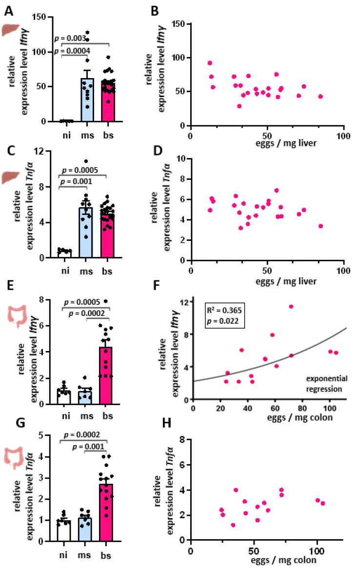 https://cdn.ncbi.nlm.nih.gov/pmc/blobs/334e/11430739/317121b4f861/cells-13-01579-g002.jpg