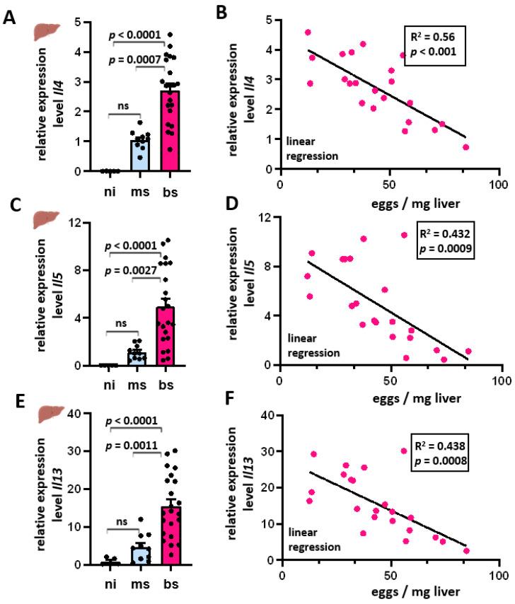 https://cdn.ncbi.nlm.nih.gov/pmc/blobs/334e/11430739/42d2068057d8/cells-13-01579-g003.jpg
