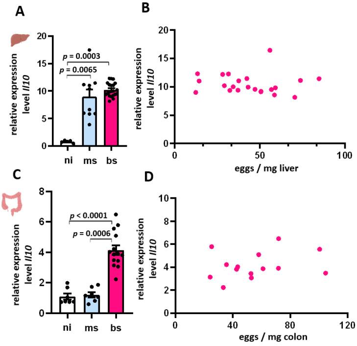 https://cdn.ncbi.nlm.nih.gov/pmc/blobs/334e/11430739/fc86c30b5813/cells-13-01579-g006.jpg