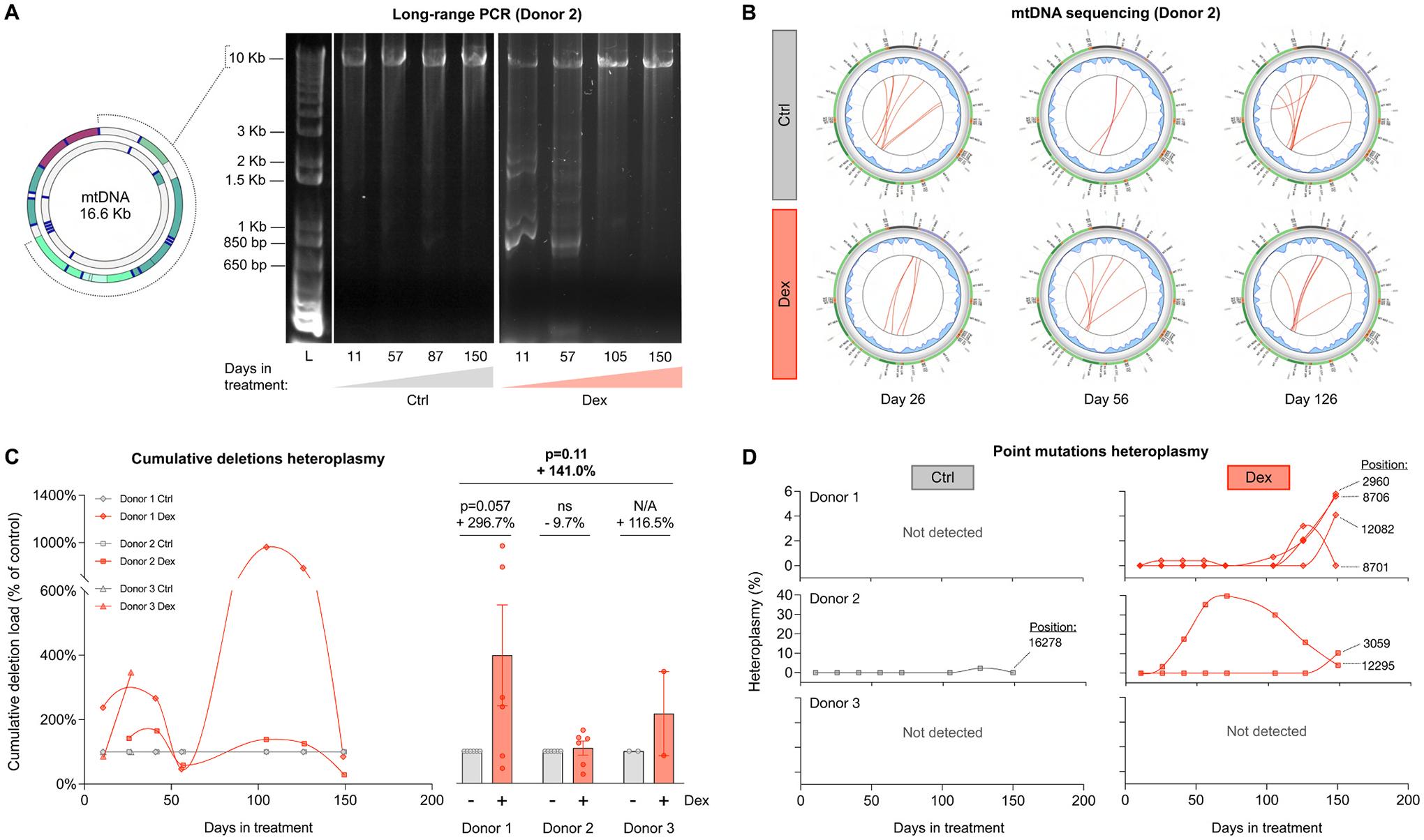 https://cdn.ncbi.nlm.nih.gov/pmc/blobs/335c/10528419/01aaa75de585/nihms-1912434-f0007.jpg