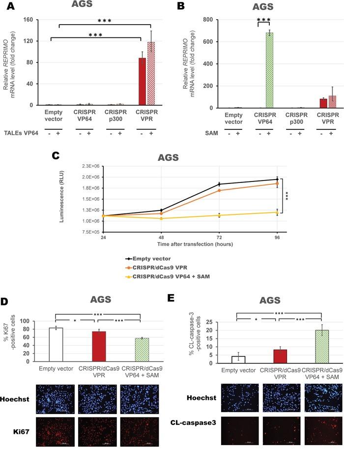https://cdn.ncbi.nlm.nih.gov/pmc/blobs/336b/5312401/6ee069c6b682/oncotarget-07-60535-g008.jpg