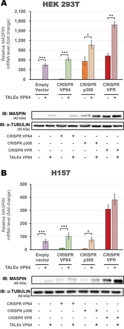 https://cdn.ncbi.nlm.nih.gov/pmc/blobs/336b/5312401/9beb14e7d5d6/oncotarget-07-60535-g005.jpg