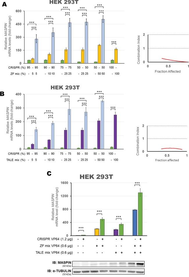 https://cdn.ncbi.nlm.nih.gov/pmc/blobs/336b/5312401/f339044e5667/oncotarget-07-60535-g004.jpg