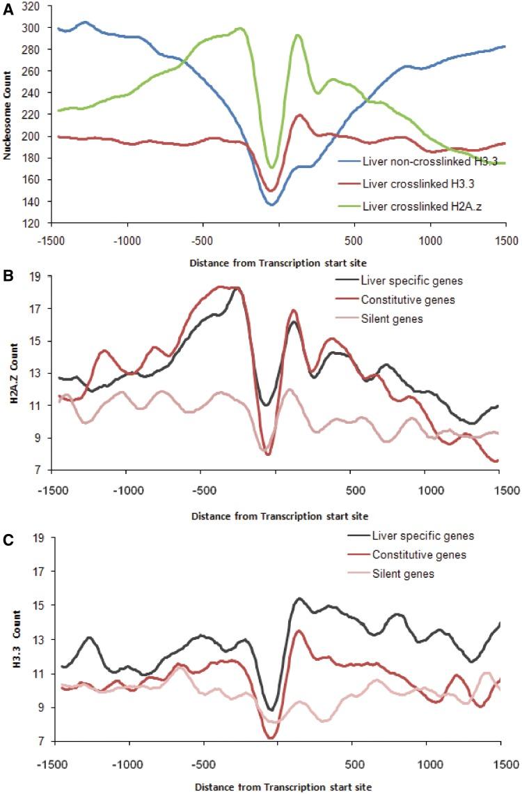 https://cdn.ncbi.nlm.nih.gov/pmc/blobs/3380/3467062/b8638ecfd458/gks665f3.jpg