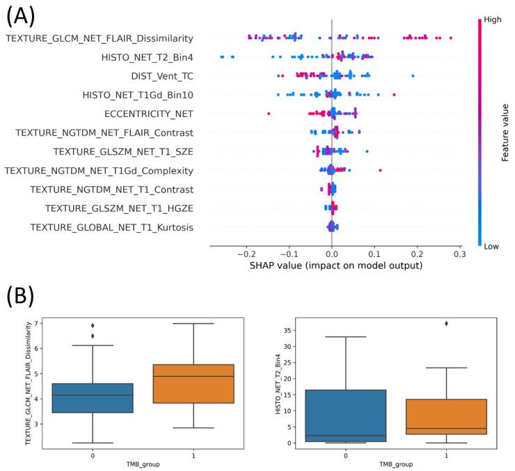 https://cdn.ncbi.nlm.nih.gov/pmc/blobs/3386/9324877/aa22d1c4f69b/cancers-14-03492-g001.jpg
