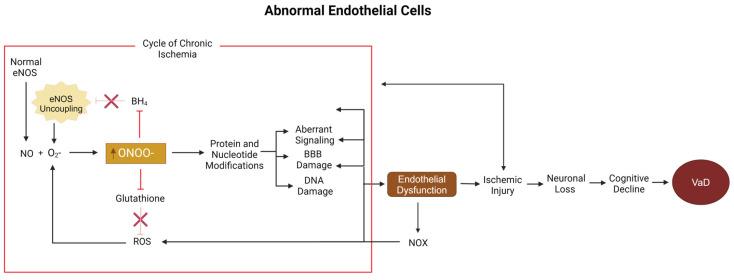 https://cdn.ncbi.nlm.nih.gov/pmc/blobs/338c/11761268/4339aaa86abd/biomolecules-15-00006-g003.jpg