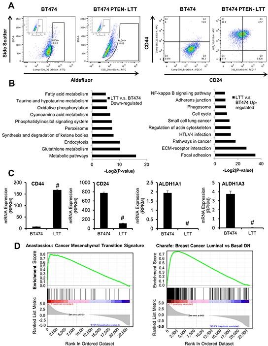 https://cdn.ncbi.nlm.nih.gov/pmc/blobs/33b0/5239484/165f9c62e04f/oncotarget-07-51408-g001.jpg