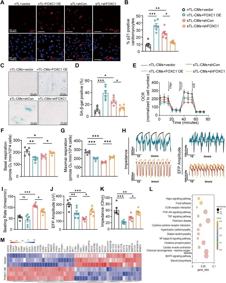 https://cdn.ncbi.nlm.nih.gov/pmc/blobs/33b7/11194093/105982d079a2/gkae274fig6.jpg