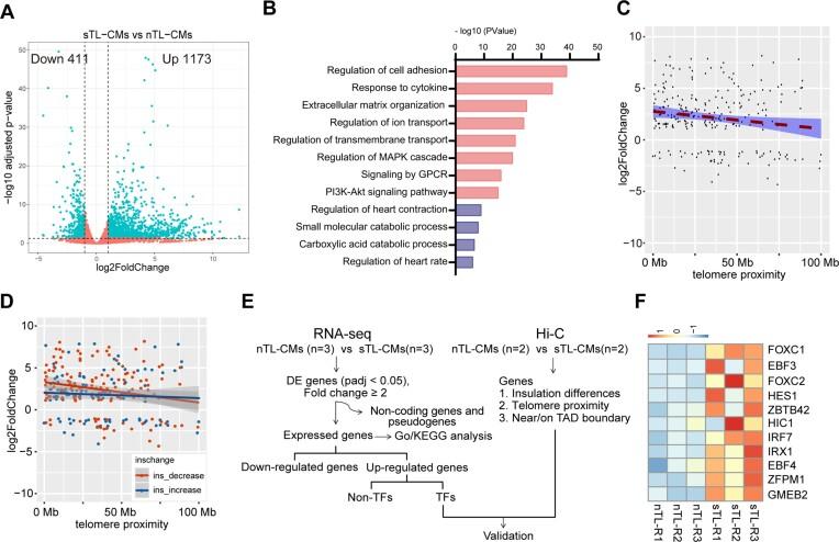 https://cdn.ncbi.nlm.nih.gov/pmc/blobs/33b7/11194093/669e771b1683/gkae274fig4.jpg