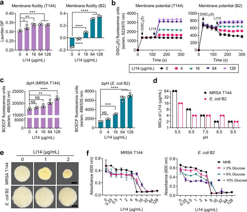 https://cdn.ncbi.nlm.nih.gov/pmc/blobs/33be/9452538/02f857777986/42003_2022_3899_Fig4_HTML.jpg
