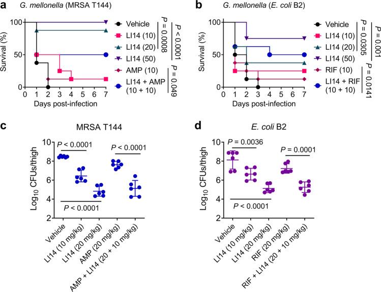 https://cdn.ncbi.nlm.nih.gov/pmc/blobs/33be/9452538/5354ed97e1d1/42003_2022_3899_Fig6_HTML.jpg