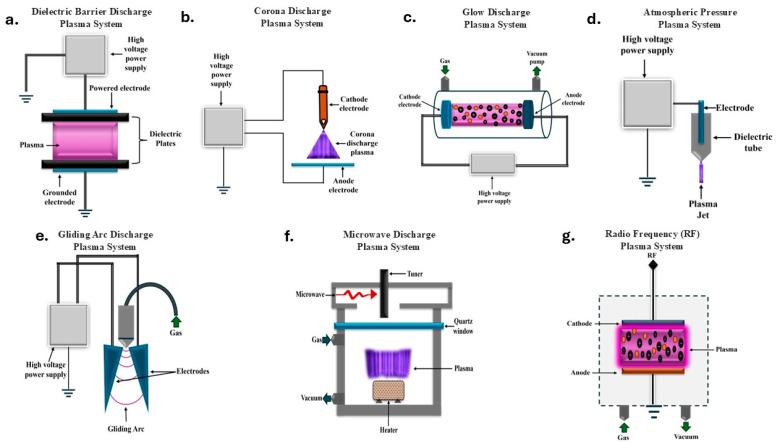 https://cdn.ncbi.nlm.nih.gov/pmc/blobs/33c9/11767815/2453b8324353/microorganisms-13-00146-g002.jpg