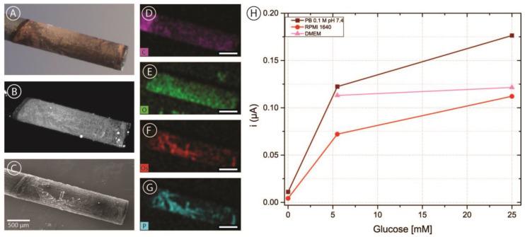 https://cdn.ncbi.nlm.nih.gov/pmc/blobs/33ce/10295976/cc271beef046/biosensors-13-00582-g005.jpg