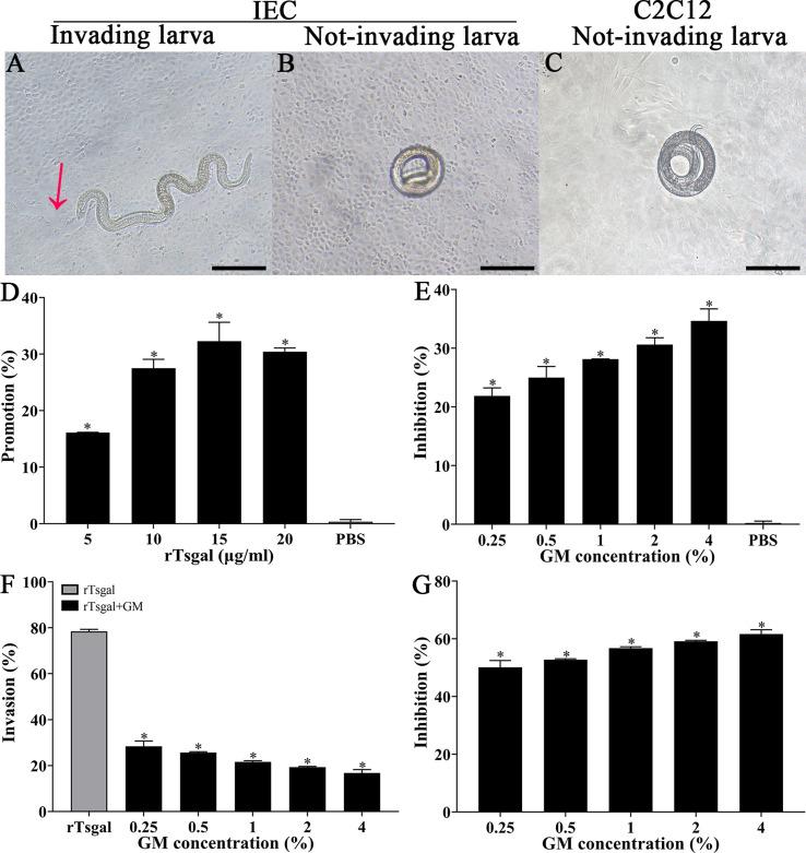 https://cdn.ncbi.nlm.nih.gov/pmc/blobs/33da/10854486/05218ec5de90/parasite-31-6-fig3.jpg