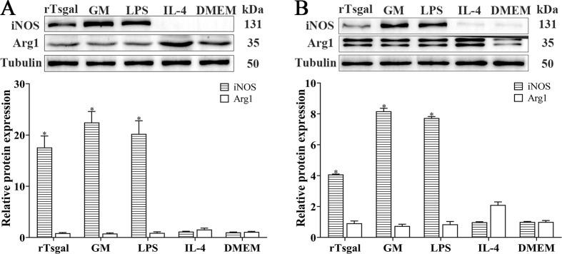 https://cdn.ncbi.nlm.nih.gov/pmc/blobs/33da/10854486/7402c6a39e05/parasite-31-6-fig6.jpg
