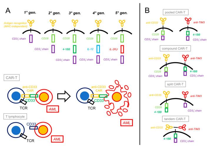 https://cdn.ncbi.nlm.nih.gov/pmc/blobs/33e7/11240611/601f3bfad85d/cancers-16-02359-g002.jpg