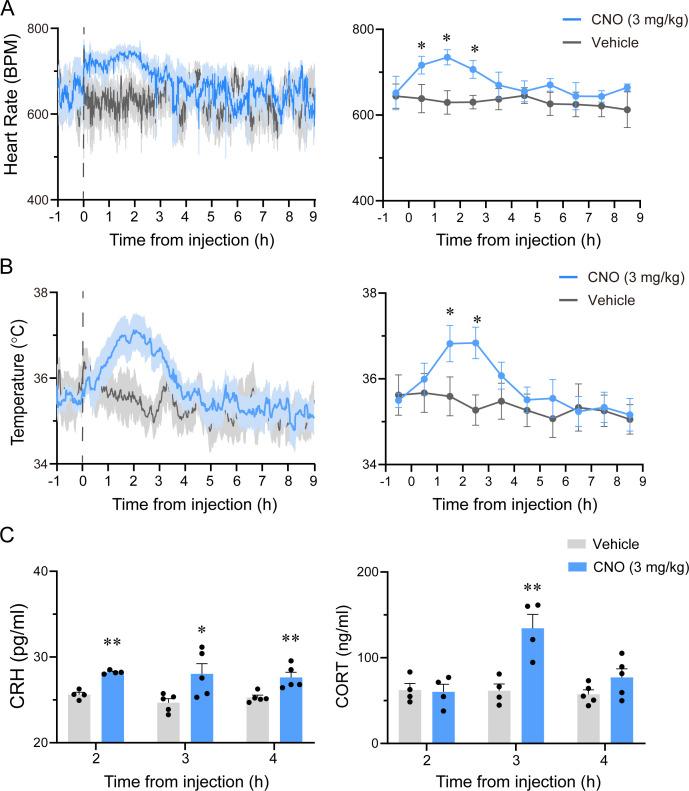 https://cdn.ncbi.nlm.nih.gov/pmc/blobs/33e7/8631797/09b235b351d7/elife-69909-fig3-figsupp2.jpg