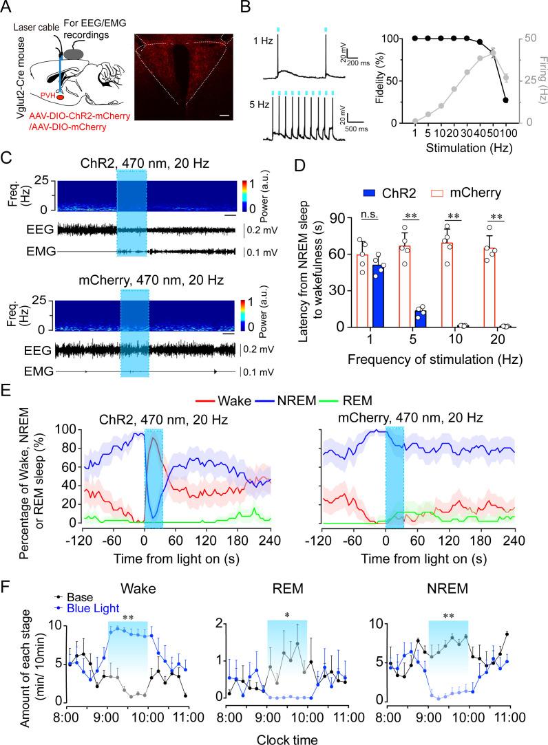 https://cdn.ncbi.nlm.nih.gov/pmc/blobs/33e7/8631797/243adf3f8aee/elife-69909-fig4.jpg