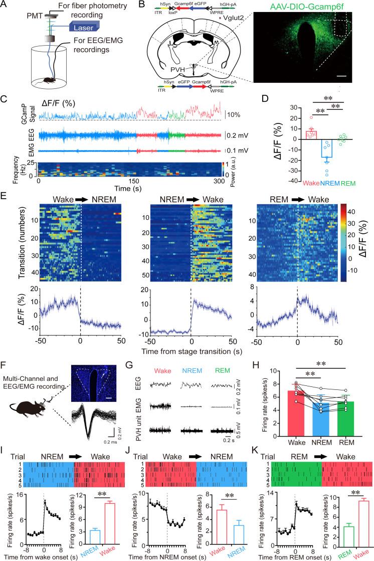 https://cdn.ncbi.nlm.nih.gov/pmc/blobs/33e7/8631797/64e35c816626/elife-69909-fig2.jpg