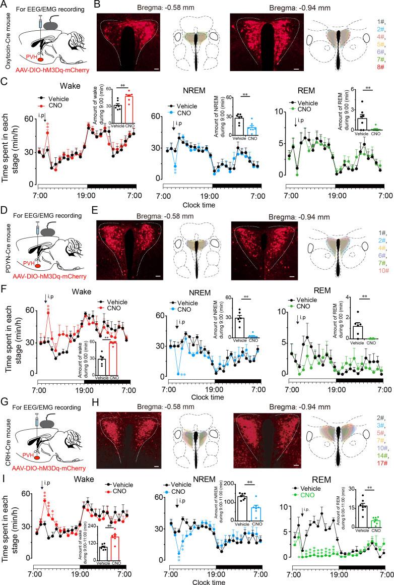https://cdn.ncbi.nlm.nih.gov/pmc/blobs/33e7/8631797/706fd91f57cf/elife-69909-fig6.jpg