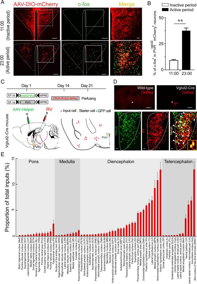https://cdn.ncbi.nlm.nih.gov/pmc/blobs/33e7/8631797/7cd9f0f98211/elife-69909-fig1.jpg