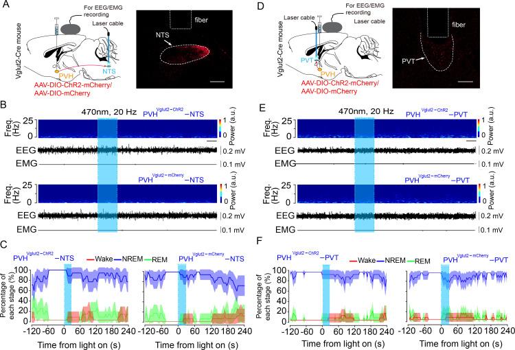https://cdn.ncbi.nlm.nih.gov/pmc/blobs/33e7/8631797/bd6a850575b5/elife-69909-fig5-figsupp2.jpg