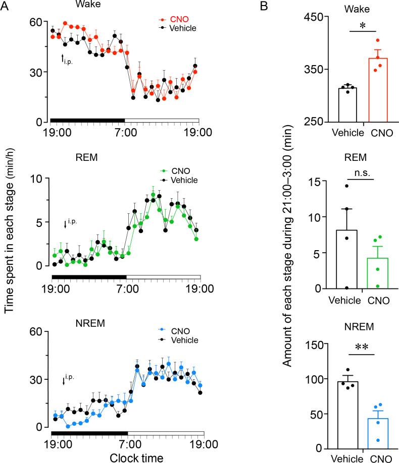 https://cdn.ncbi.nlm.nih.gov/pmc/blobs/33e7/8631797/d3ff5f7433ef/elife-69909-fig3-figsupp1.jpg