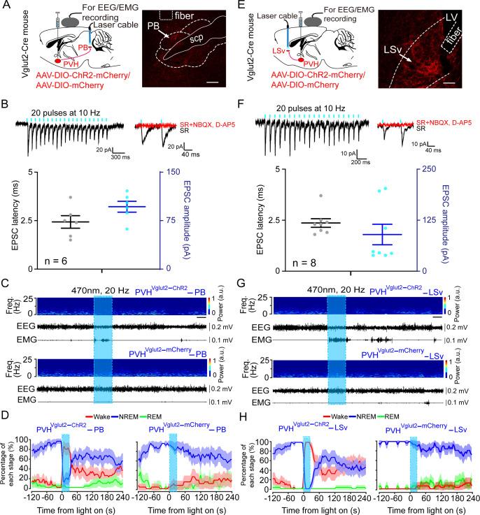 https://cdn.ncbi.nlm.nih.gov/pmc/blobs/33e7/8631797/de948fbf6480/elife-69909-fig5.jpg