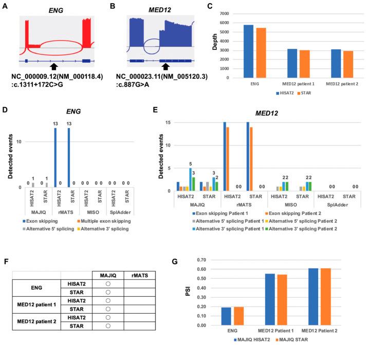https://cdn.ncbi.nlm.nih.gov/pmc/blobs/33ed/11989494/57ecde472682/ijms-26-03220-g005.jpg