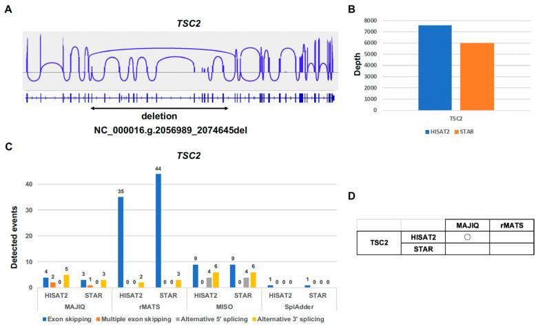 https://cdn.ncbi.nlm.nih.gov/pmc/blobs/33ed/11989494/8a144b8e75eb/ijms-26-03220-g004.jpg