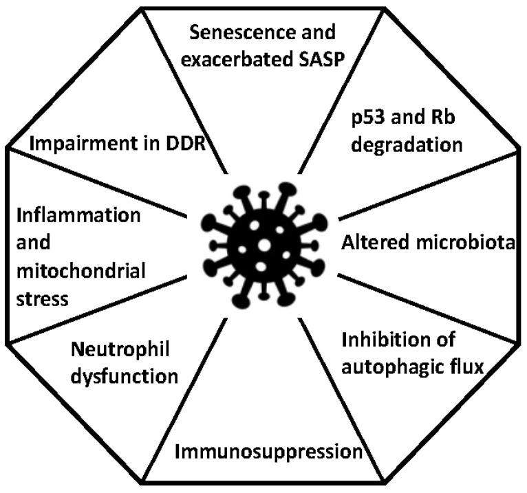 https://cdn.ncbi.nlm.nih.gov/pmc/blobs/33f4/10051562/391520f0c4be/microorganisms-11-00713-g001.jpg