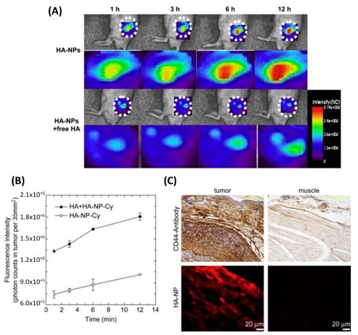 https://cdn.ncbi.nlm.nih.gov/pmc/blobs/3408/9413373/c36fcd18ca06/nanomaterials-12-02851-g003.jpg