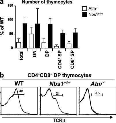 https://cdn.ncbi.nlm.nih.gov/pmc/blobs/3413/2699138/599b07cb6fb3/JEM_20081326_LW_Fig6.jpg