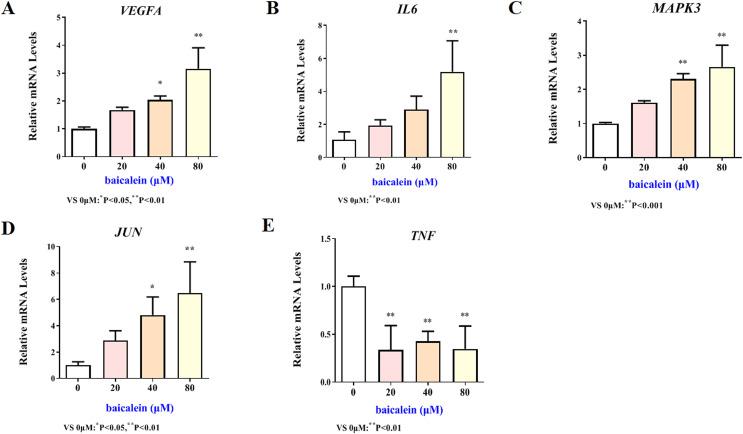https://cdn.ncbi.nlm.nih.gov/pmc/blobs/342f/9676018/95d1db113187/peerj-10-14394-g006.jpg