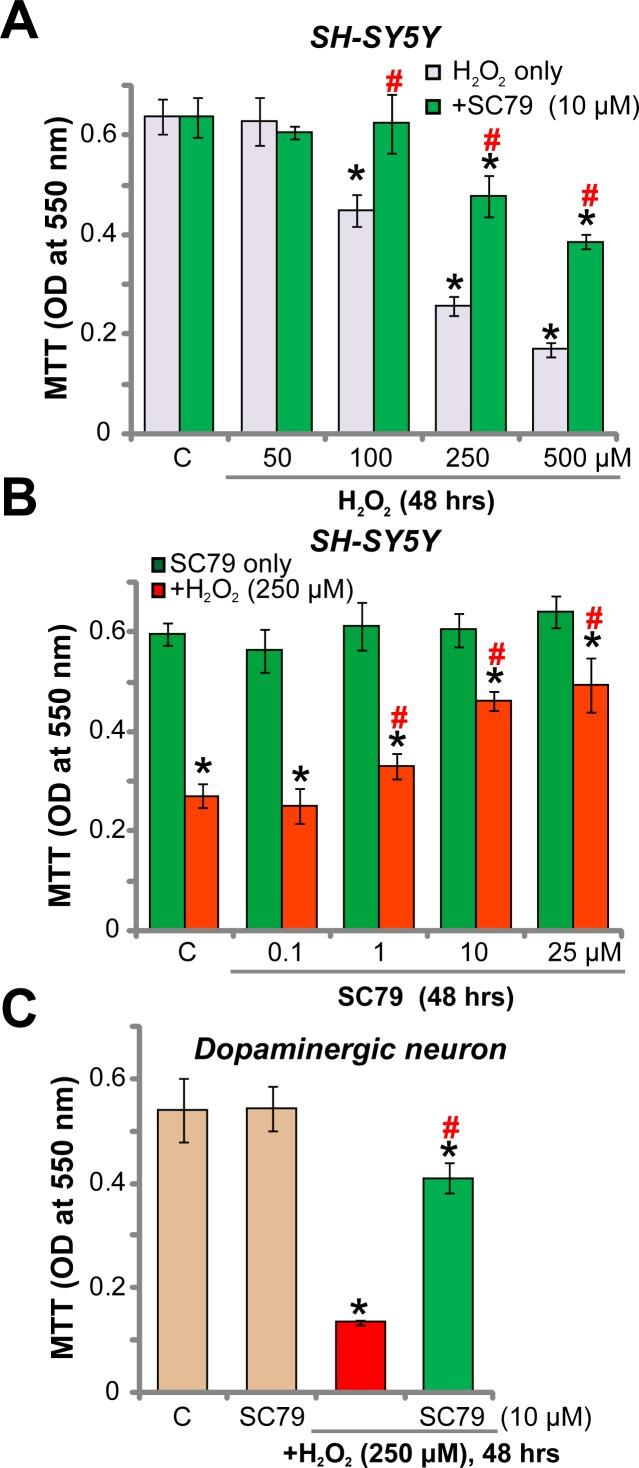 https://cdn.ncbi.nlm.nih.gov/pmc/blobs/3430/5849161/58ac2c4aa598/oncotarget-09-12639-g001.jpg