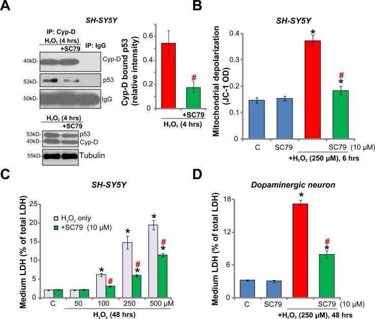https://cdn.ncbi.nlm.nih.gov/pmc/blobs/3430/5849161/c4e8fe69bbb1/oncotarget-09-12639-g003.jpg