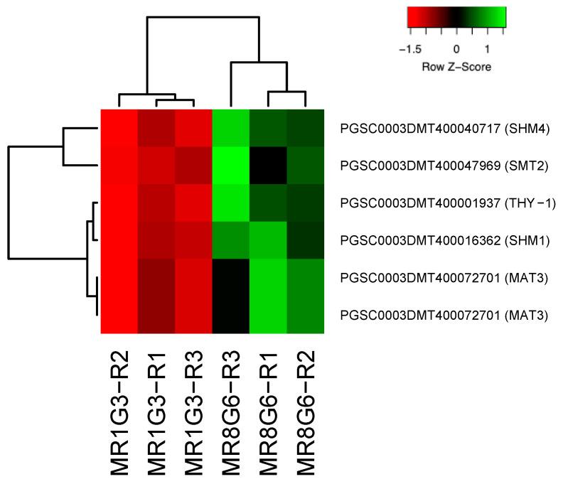 https://cdn.ncbi.nlm.nih.gov/pmc/blobs/3431/10379993/13a26a32dd75/genes-14-01463-g006.jpg
