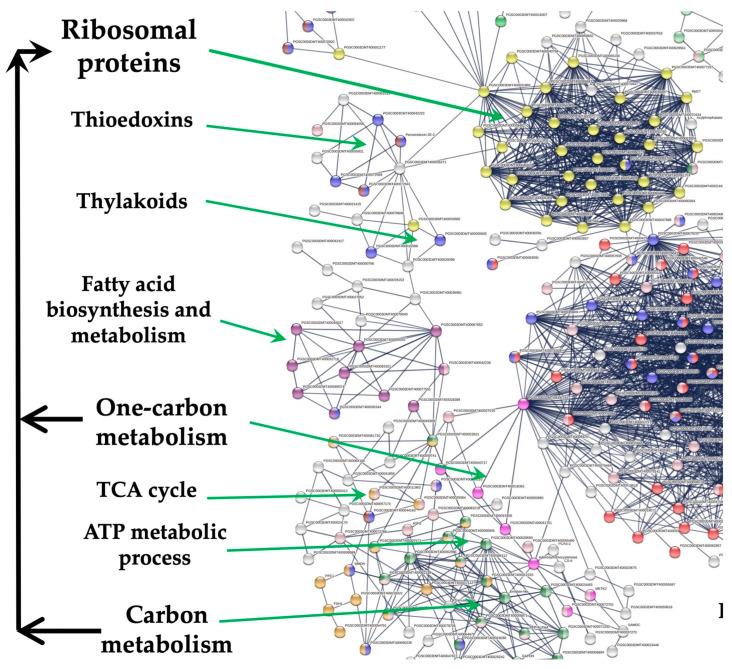 https://cdn.ncbi.nlm.nih.gov/pmc/blobs/3431/10379993/a0bab0e01fbf/genes-14-01463-g009.jpg