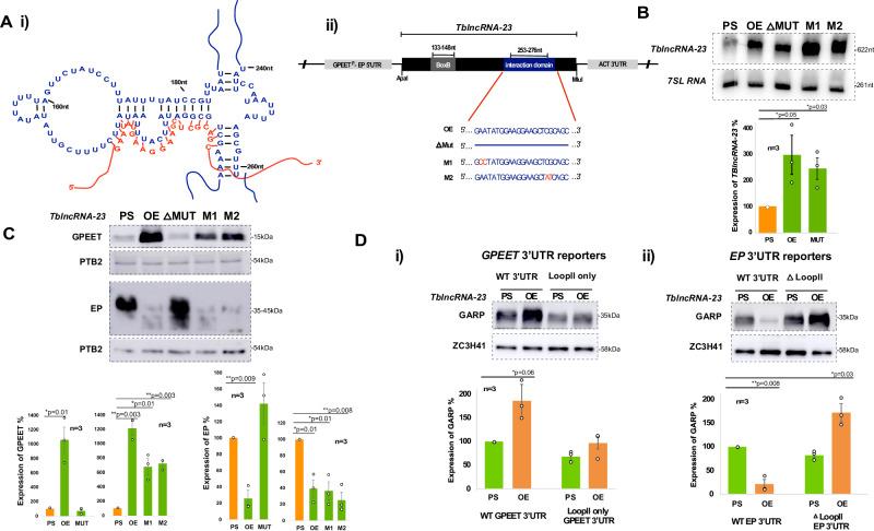 https://cdn.ncbi.nlm.nih.gov/pmc/blobs/3452/12008373/b751f0790fd8/41467_2025_58979_Fig3_HTML.jpg