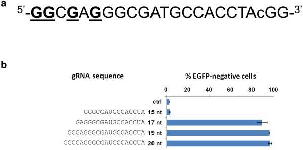 https://cdn.ncbi.nlm.nih.gov/pmc/blobs/345c/3988262/079bcef74cee/nihms-553838-f0001.jpg