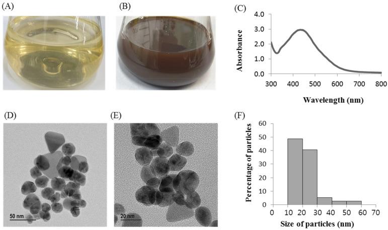 https://cdn.ncbi.nlm.nih.gov/pmc/blobs/3488/8512087/38a1ae8161a7/molecules-26-05996-g002.jpg