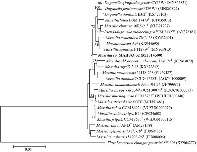 https://cdn.ncbi.nlm.nih.gov/pmc/blobs/3488/8512087/43c5debb18cb/molecules-26-05996-g001.jpg