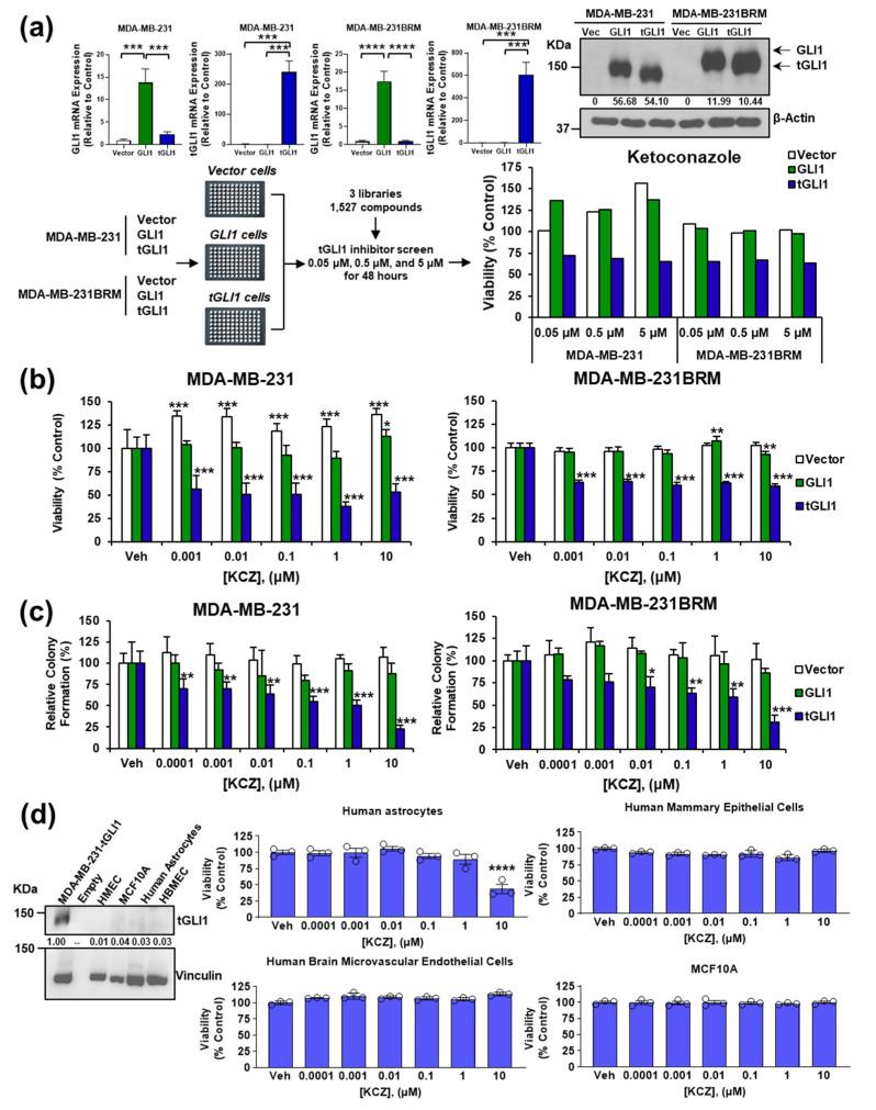 https://cdn.ncbi.nlm.nih.gov/pmc/blobs/348f/9454738/75cdaff47649/cancers-14-04256-g001.jpg