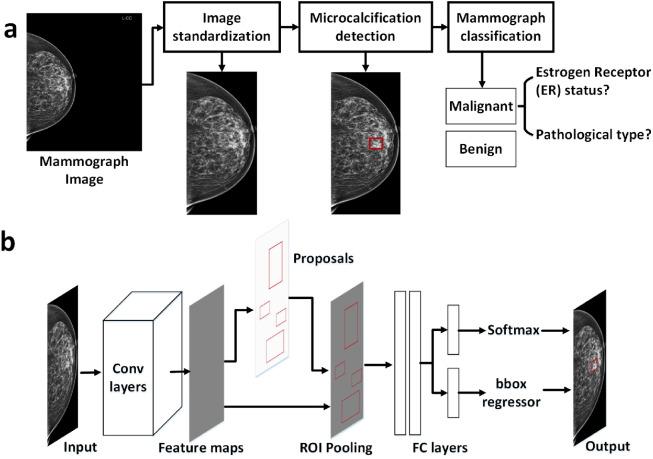 https://cdn.ncbi.nlm.nih.gov/pmc/blobs/34a0/11997558/c9b8b8b4f940/gr2.jpg